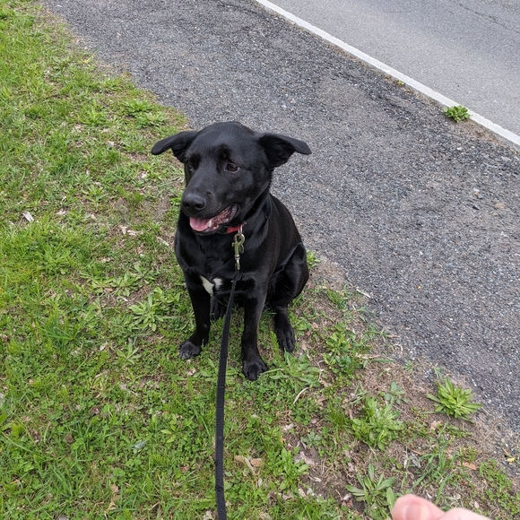 follow Game 🏳️‍⚧️🏳️‍🌈🇵🇸🇸🇩🇨🇩 Stay Well! - Picture 5 of 5